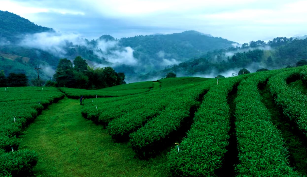 বাংলার আবহাওয়া আপডেট