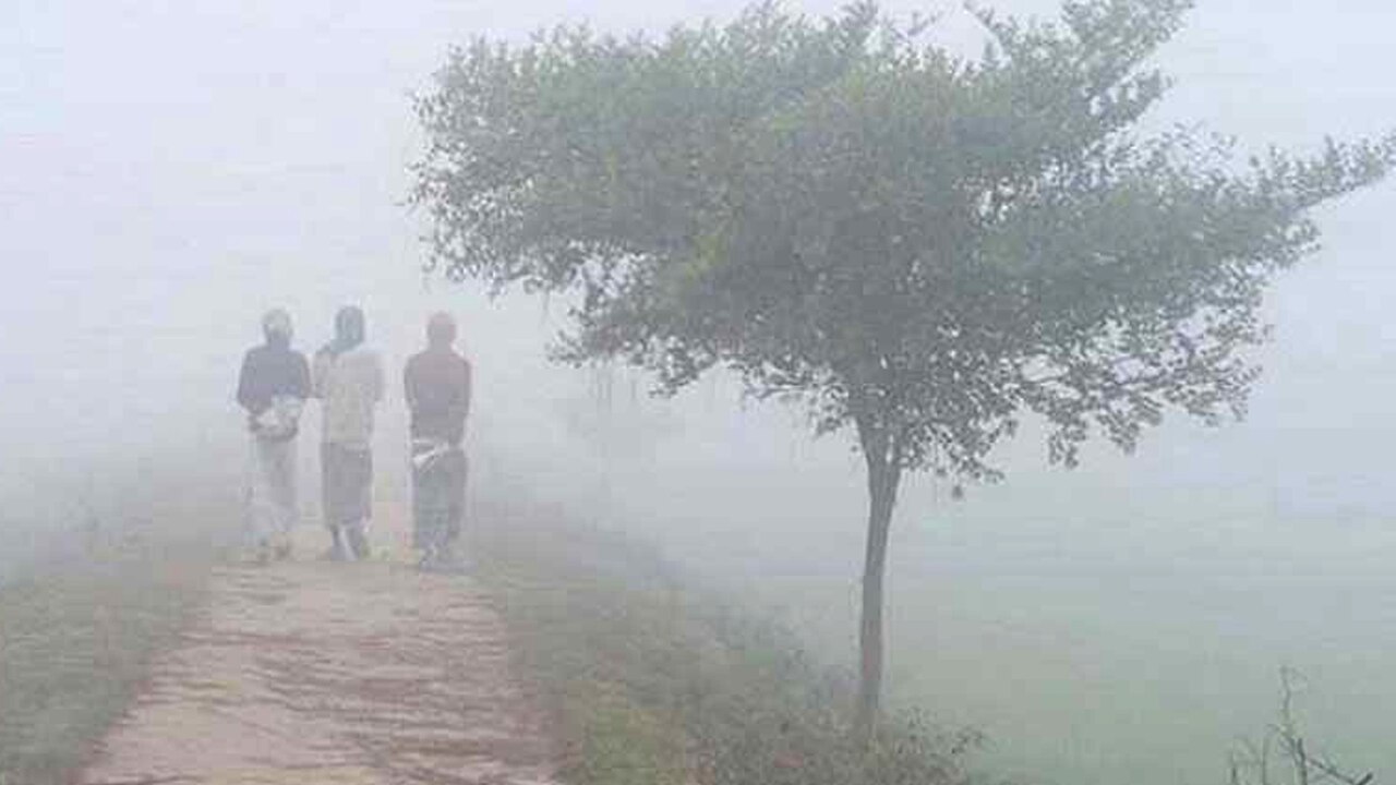 ডিসেম্বরে শীত