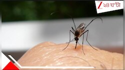 মশা তাড়়াতে গিয়ে একী কাণ্ড! নিমেষে পুড়ে ছাই গোটা বাড়ি, কোনওমতে....