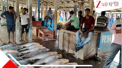 সাতসকালে জালে উঠল বিরল মাছের ঝাঁক, রাতারাতি ৫০ লাখের মালিক দীঘার মত্সজীবী