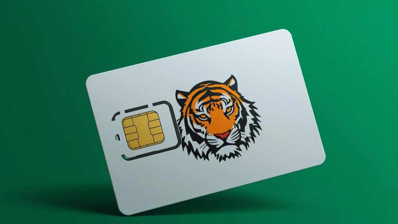 ১০টির বেশি সিম নয়