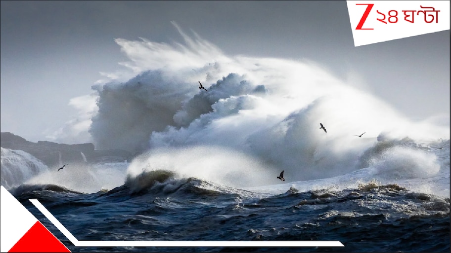 Mega Ocean Wave: মেগা ওশেন ওয়েভ! ভয়ংকর ঝড়ের টানে সমুদ্রের বুকে বিশাল আকারের ভয়াল ঢেউ! যেন পর পর ৫টি জিরাফ...