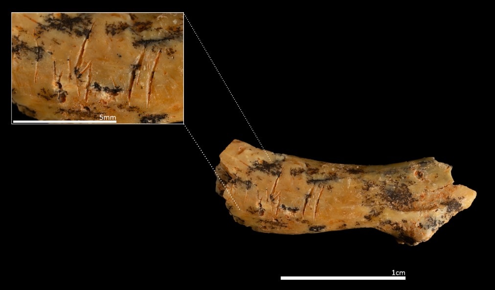 Humans Ate their own Children