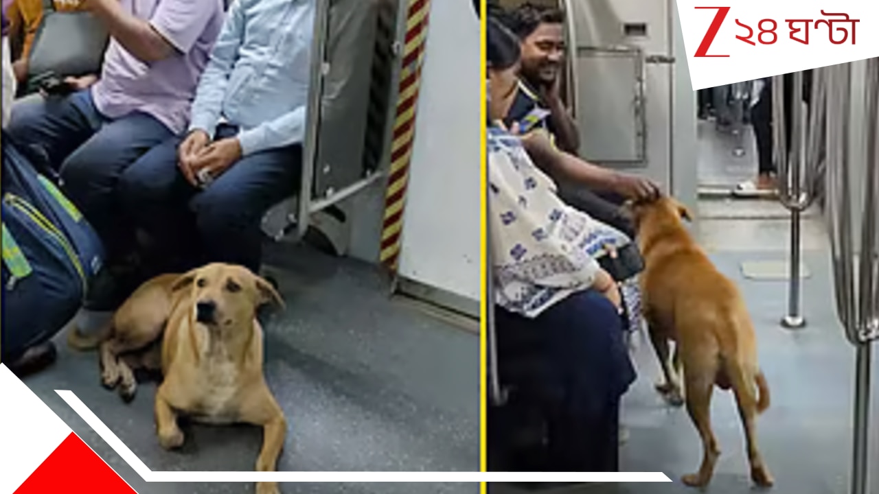 Street Dog in Kolkata Metro Rail: যা কোনওদিনও ঘটেনি, তাই ঘটল! শব্দদানবের হাত থেকে বাঁচতে কলকাতা মেট্রোয় উঠে পড়ল ভয়ার্ত পথকুকুর…