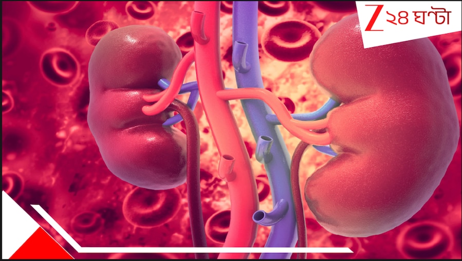 Universal kidney: বিশ্বে এই প্রথম! ব্লাড গ্রুপ না মিললেও দেওয়া-নেওয়া যাবে কিডনি! ইউনিভার্সাল কিডনিতে নবজীবনলাভ স্রেফ সময়ের অপেক্ষা...
