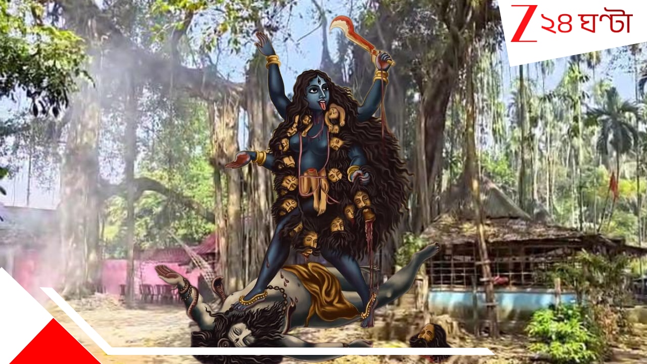 স্বপ্নাদেশ থেকে শতবর্ষ! ডামডিমের আশ্চর্য বটেশ্বর কালী! অদ্ভুত স্বপ্নে মা বললেন….। kalipuja 2025 Bateswar Kali Mandir damdim goddess kali ordered in dream her abode under a banyan tree
