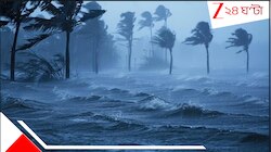 উপকূলে ঝড়ের সন্ত্রাস! 'মন্থা'র আগুনে ছোবলে ছিন্নভিন্ন সমুদ্রের বুক, বিপুল বিধ্বংসী 