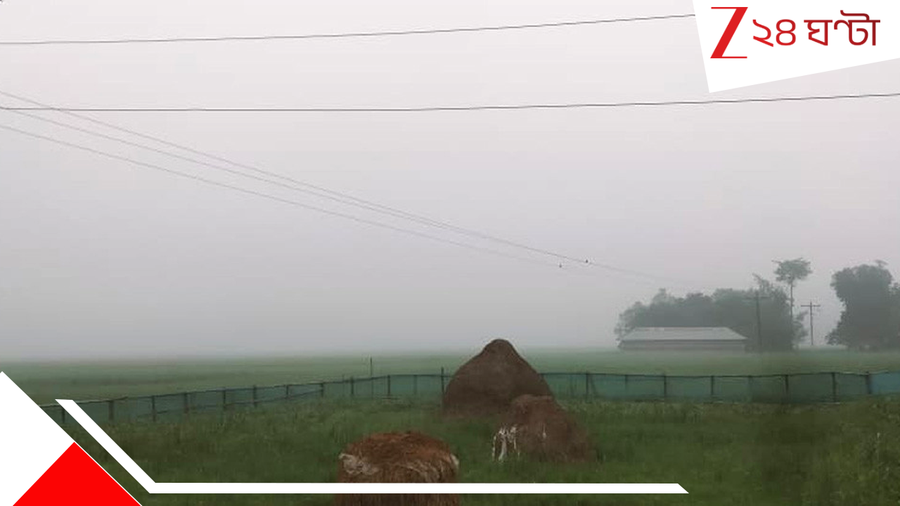 West Bengal Weather Update: গত ২৪ ঘণ্টায় নামল তাপমাত্রা, শীতের পথে বাধা হতে পারে ঘূর্ণাবর্ত! West Bengal Weather Update: গত ২৪ ঘণ্টায় নামল তাপমাত্রা, শীতের পথে বাধা হতে পারে ঘূর্ণাবর্ত!