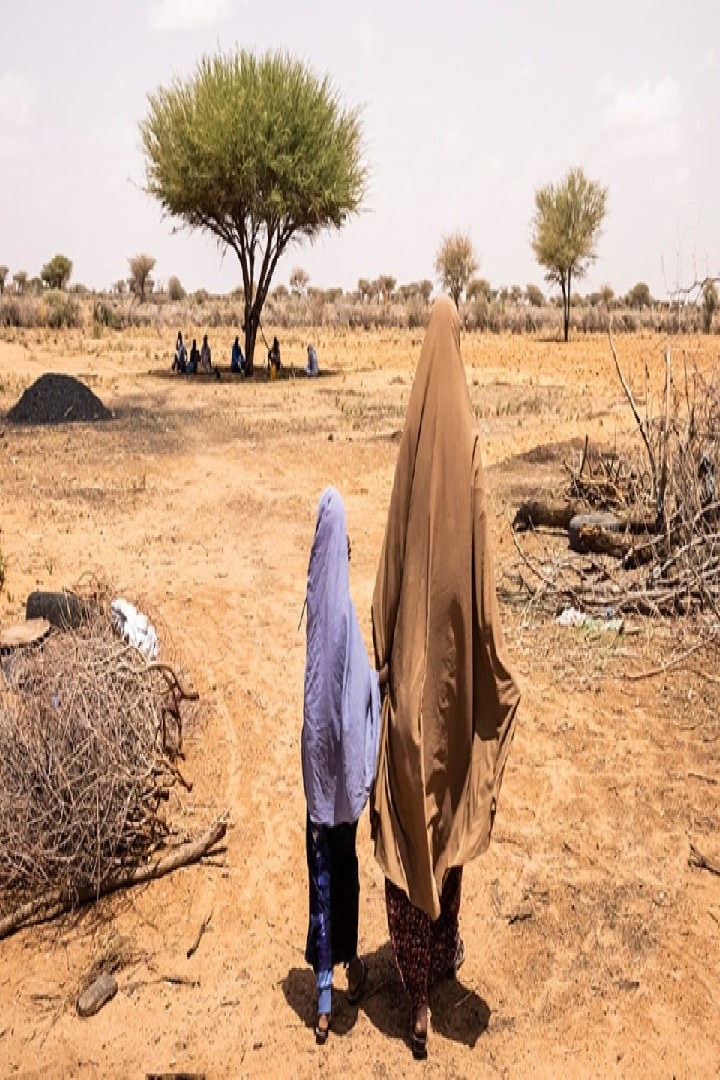 বিশ্বের ১০ ক্ষুধার্ত দেশের মধ্যে ভারতের অবস্থান কোথায়?জেনে নিন...