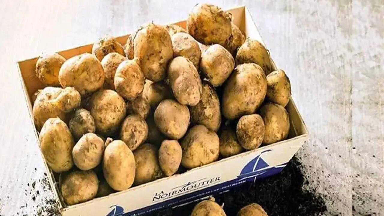 চাষের পদ্ধতি চাষের পদ্ধতি