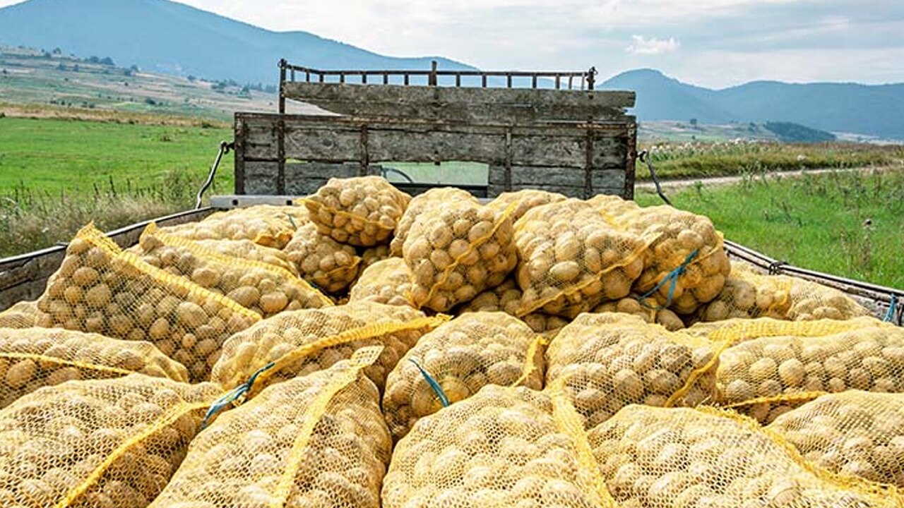 কোরিয়ায় দাম কোরিয়ায় দাম