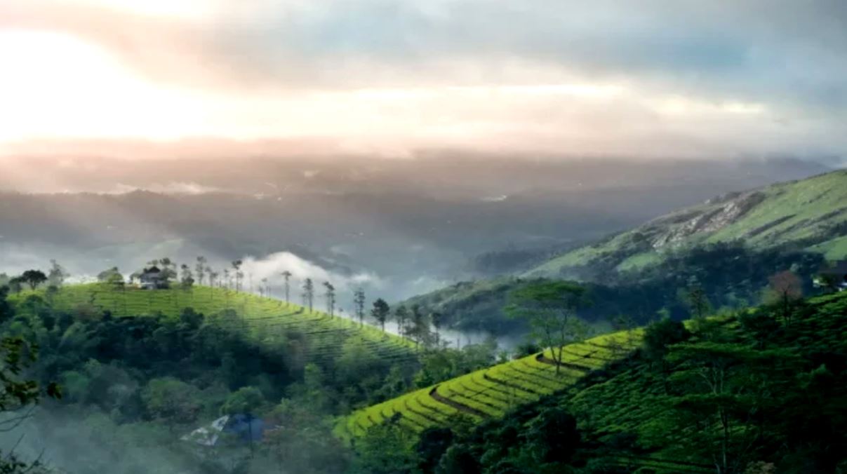 আবহাওয়ার বড় খবর