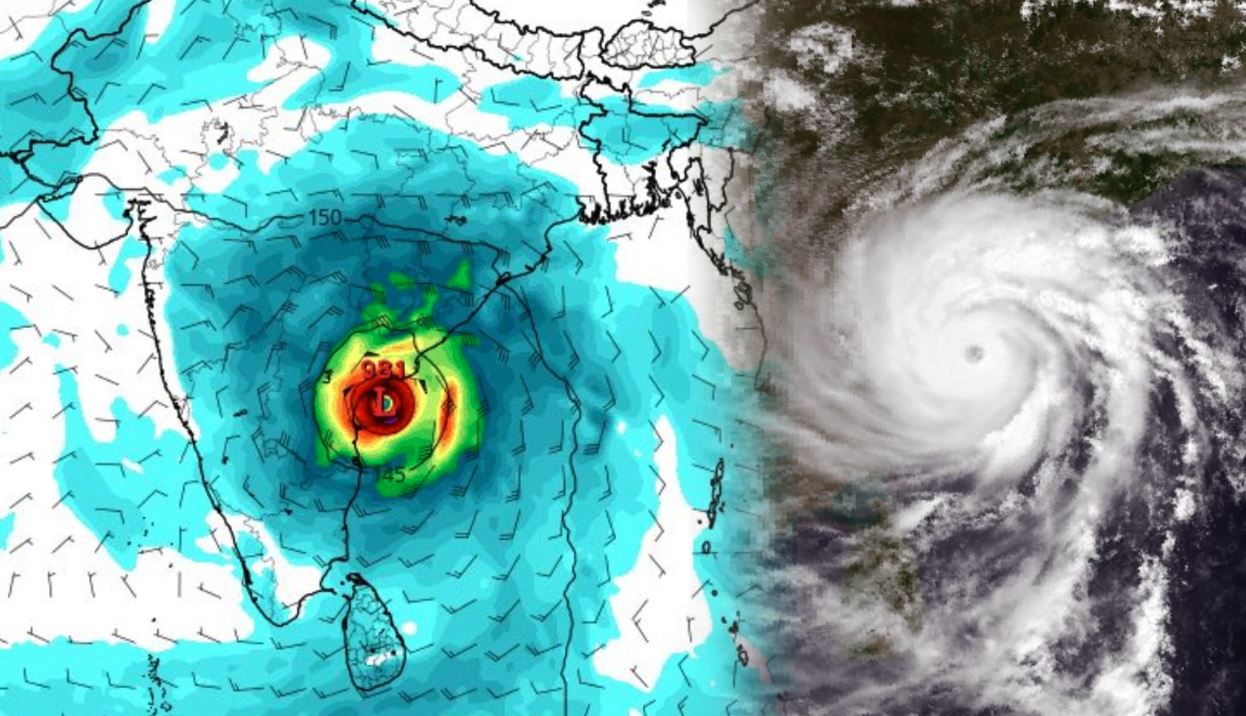 ‘সেনইয়ার’