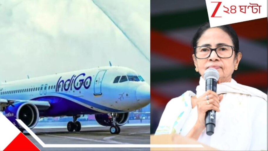 Mamata Banerjee: 'কোনও পরিকল্পনা ছাড়াই নির্দেশিকা জারি করে দিয়েছে', ইন্ডিগো বিপর্যয়ে কেন্দ্রকে তোপ মুখ্যমন্ত্রীর...