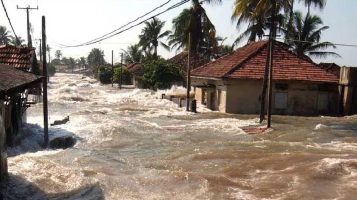 মোট ১৪টি দেশ!