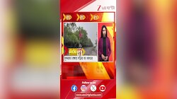 Sundarban: সুন্দরবন রক্ষায় সক্রিয় বন দফতর | Zee 24 Ghanta | Zee 24 Ghanta