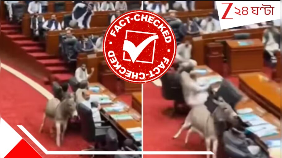 Factcheck: সেশন চলাকালীন পাকিস্তানের পার্লামেন্টে ঢুকে পড়ল গাধা! সত্যিই যা ঘটেছে...