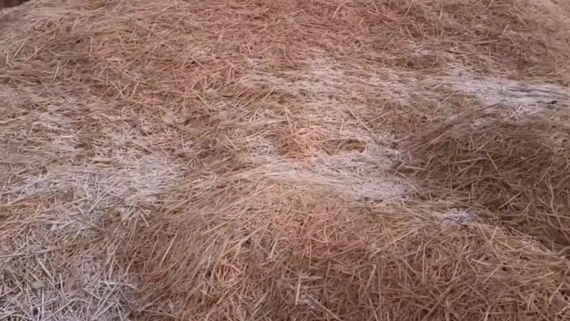 পুরুলিয়ায় তুষারপাত