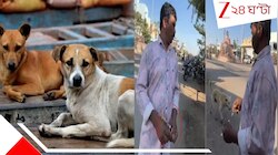 বিষ ইনজেকশন দেওয়ার ১ মিনিটেই লুটিয়ে পড়ছে মাটিতে! ৫০০ পথকুকুরকে নির্বিচারে খুন...