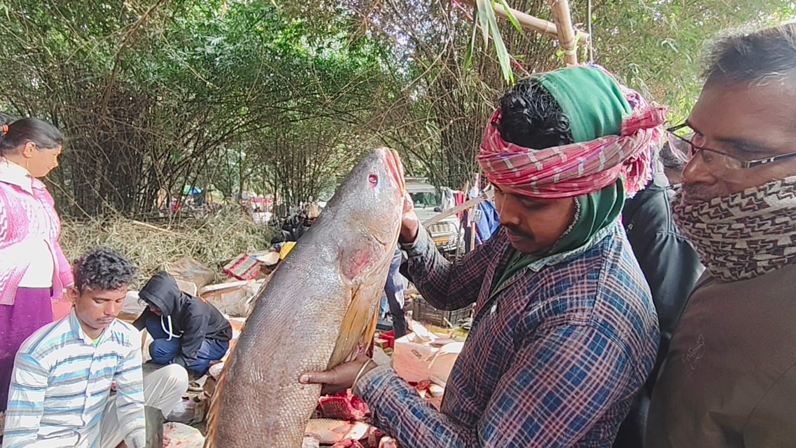 মাছের মেলা...