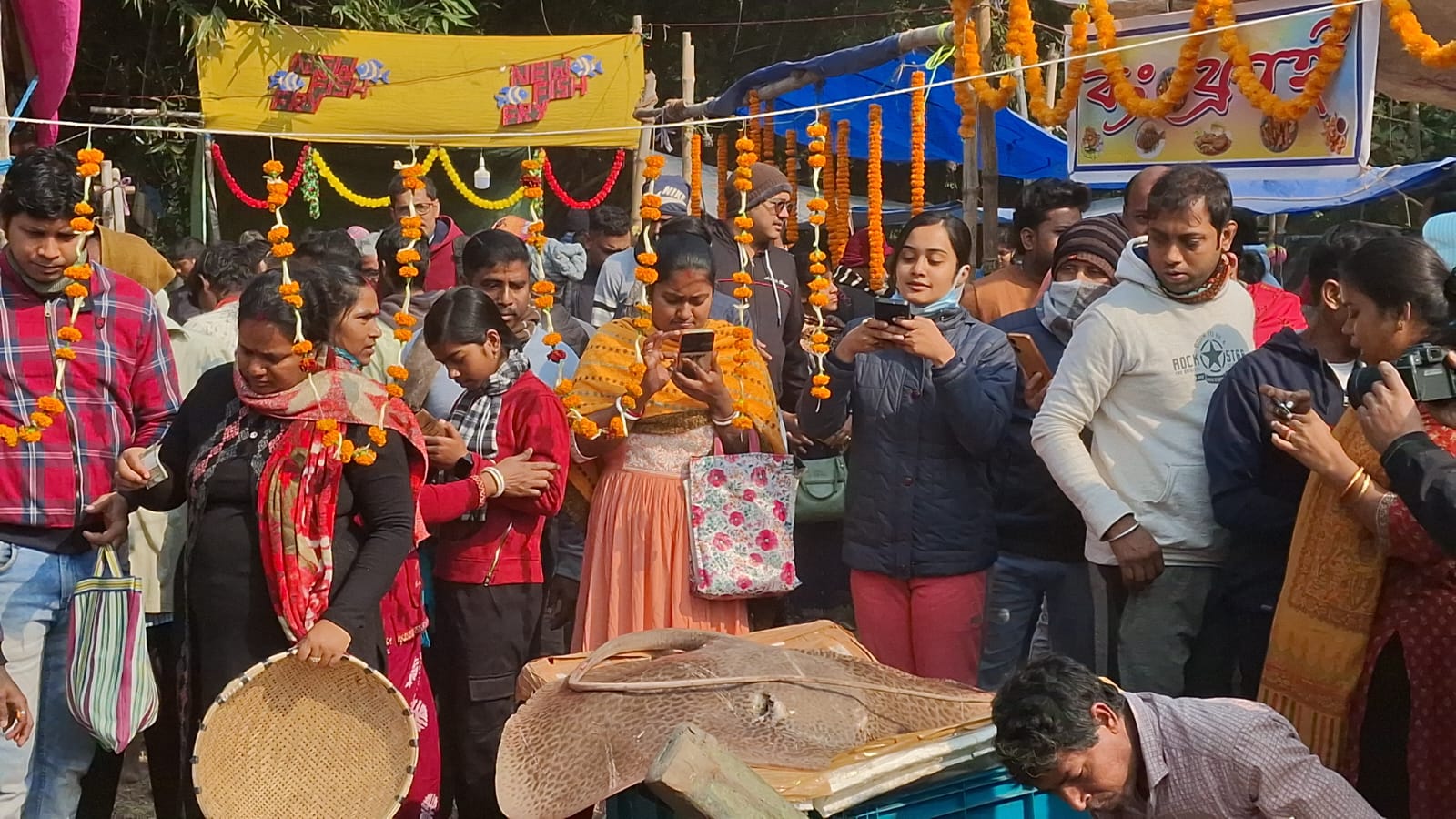 মাছের মেলা...