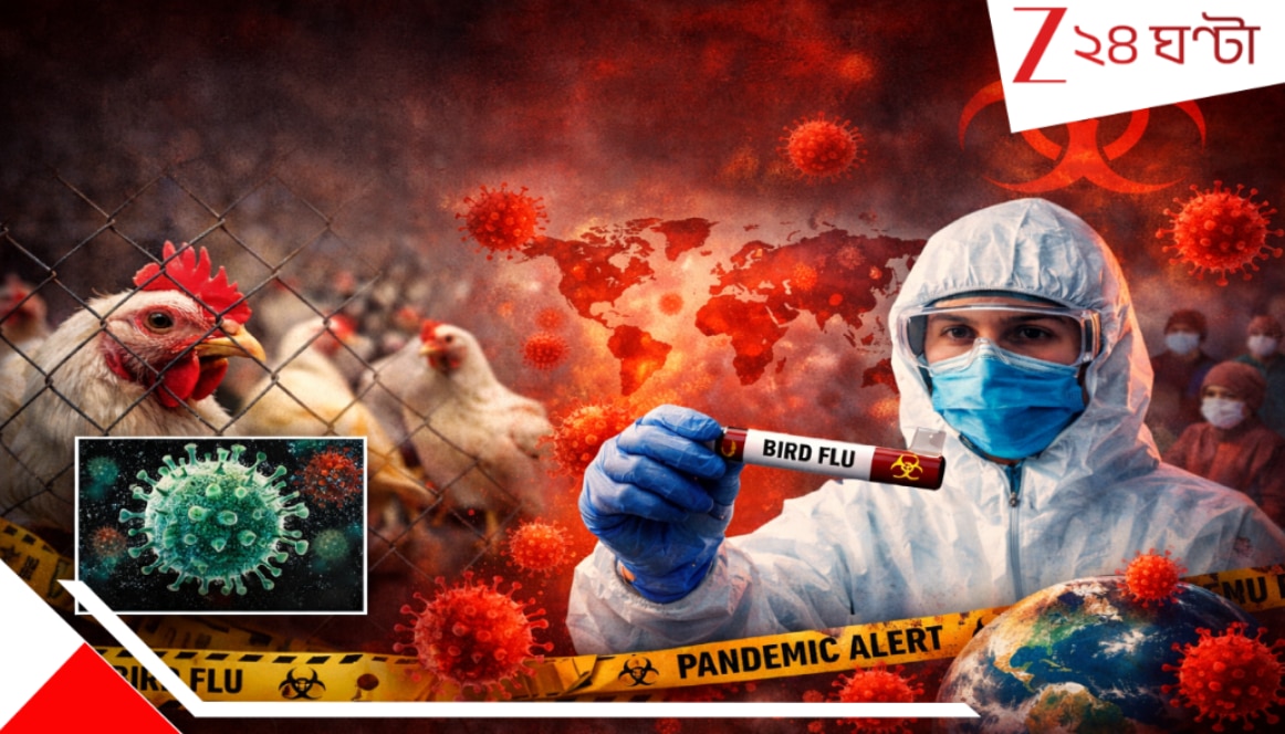 Bird flu alert in India: খাবার পাতে বজ্রপাত! মড়কের জেরে মৃত্য়ুমিছিল, দেশে শিগগিরি বন্ধ হতে চলেছে চিকিন বিক্রি…