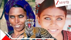 উত্তরাধিকারে পাওয়া 'বাঘিনী চোখ' নিয়ে দেশ কাঁপাচ্ছেন 'বানজারা' পাপ্পু! পুষ্কর থেকে এক