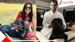 'ও হেনরি'! পোষ্য রটউইলারকে জয়ের কাছ থেকে ফেরাতে এবার হাইকোর্টে মামলা মহুয়ার...