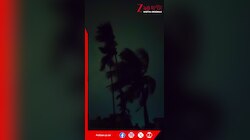 Weather Update | সপ্তাহান্তে বাড়বে বৃষ্টি, কী পূর্বাভাস আবহাওয়া দফতরের? জেনে নিন | Zee 24 Ghanta 