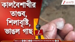 বেহালায় শিলাবৃষ্টি, জলপাইগুড়িতে গাছ ভেঙে বিপত্তি, ছিঁড়ল বিদ্যুতের তার