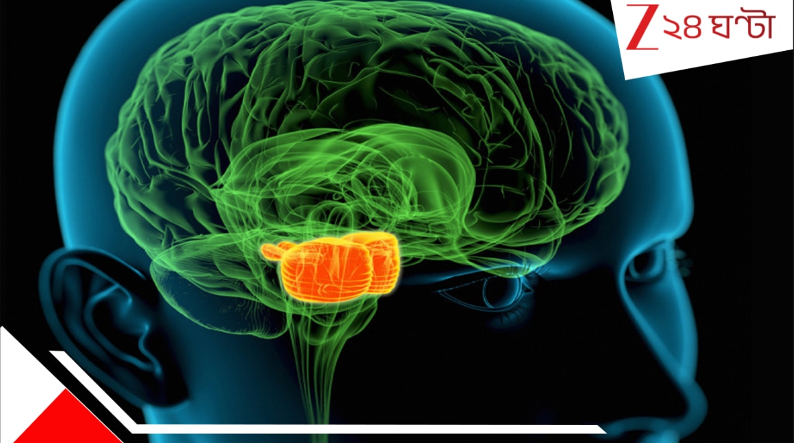 Big Breaking in Cancer Treatment: ব্রেকিং; ক্যানসার চিকিৎসায় বিরাট বিপ্লব, নিমেষে উধাও ব্রেন টিউমার, কোন ম্যাজিকে?