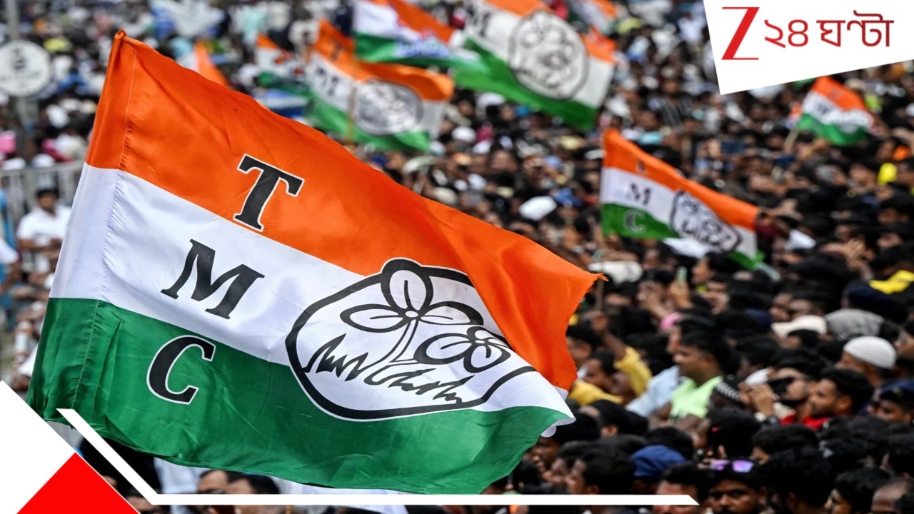 West Bengal Assembly Election 2026: ভোট-বাংলায় বিরাট খবর- প্রথম দফার ৩ দিন আগে হাইকোর্টে মামলা, নাম ৮০০ তৃণমূল নেতার