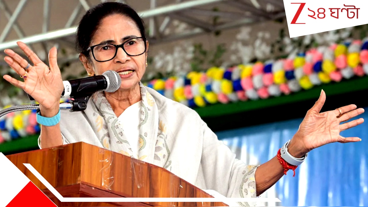 West Bengal Assembly Election 2026: 'ভোটার কেটেই বিজেপি ক্ষমতায়: একটা গোটা সিস্টেমের বিরুদ্ধে একা লড়েছেন মমতা, এবার লড়াই আদালতে'