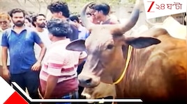 পশু হত্যায় কড়া নির্দেশিকা জারি রাজ্যের, না মানলে জেল-জরিমানা