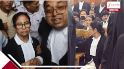  হাইকোর্টে কীভাবে 'আইনজীবী' মমতা? বড় পদক্ষেপ বার কাউন্সিলের