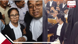  হাইকোর্টে কীভাবে 'আইনজীবী' মমতা? বড় পদক্ষেপ বার কাউন্সিলের