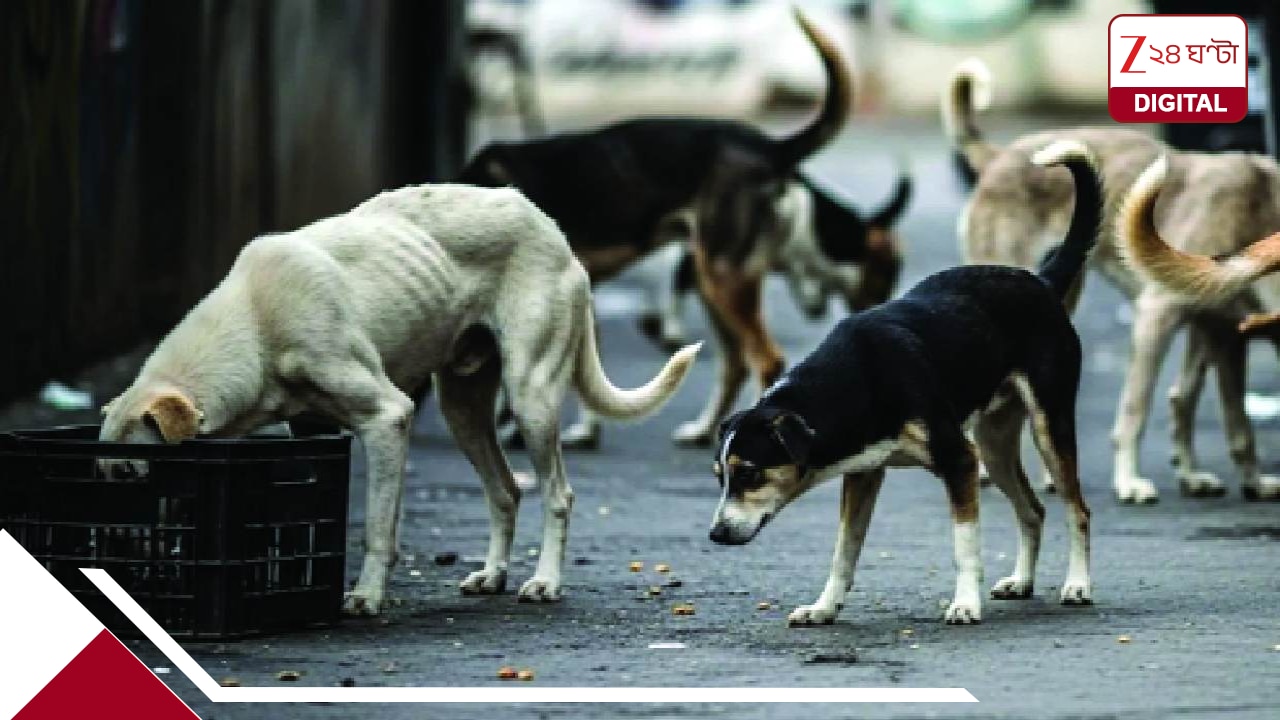 Supreme Court on Stray Dogs Removal: ঐতিহাসিক ‘সুপ্রিম’ রায়: রাস্তাঘাটে কোনওভাবেই থাকবে না পথকুকুর, সরাতেই হবে; হিংস্র বা পাগলা সারমেয়দের নিষ্কৃতিমৃত্যু