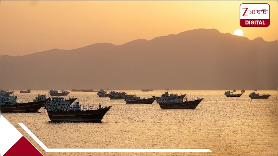 Hormuz Reopen: বিরাট সুখবর, খুলছে হরমুজ; এবার তা হলে সংকট মিটবে রান্নার গ্যাস ও জ্বালানি তেলের? ট্রাম্প কী বললেন?