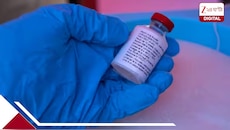 বেঙ্গালুরুতে খোঁজ মিলল প্রথম ইবোলা আক্রান্তের? হাই অ্যালার্ট, কড়া ব্যবস্থা সরকারের