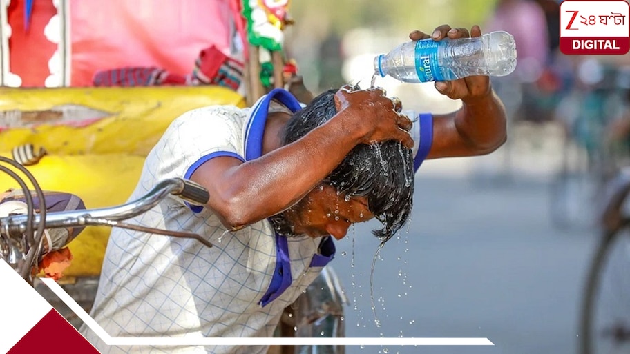 Heatwave in India: এবার গরম যতটা তীব্র বলে মনে হচ্ছে তার থেকেও ভয়ংকর, একদিনের হিটওয়েভে মৃত্যু হতে পারে অতিরিক্ত ৩৪০০ মানুষের