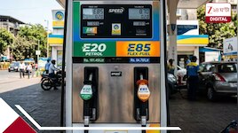 E20-তে চলা গাড়ি-বাইক কি আদৌ E85 জ্বালানিতে চলতে পারে? কী বলছেন বিশেষজ্ঞরা?