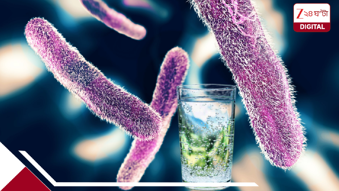 Shigella Outbreak: দরজায় নয়া মৃত্যুদূত ‘শিগেলা’! সংক্রমণের ভয়াল মরণনাচে পর পর মৃত্যু, জারি হাই-অ্যালার্ট Shigella Outbreak: দরজায় নয়া মৃত্যুদূত ‘শিগেলা’! সংক্রমণের ভয়াল মরণনাচে পর পর মৃত্যু, জারি হাই-অ্যালার্ট