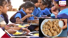ডিম না সোয়াবিন, প্রোটিনের সেরা উৎস কোনটি? শরীরে পুষ্টির যোগানে কে এগিয়ে?