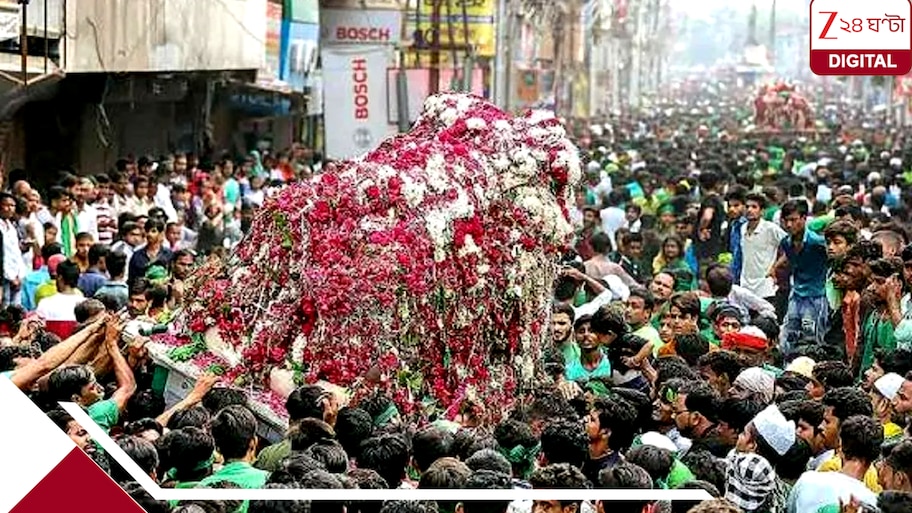 মহরমের মিছিলে ১৪,৯০০ বিষ ক্যাপসুল বিলির ছক, হাড়হিম নাশকতার পর্দাফাঁস