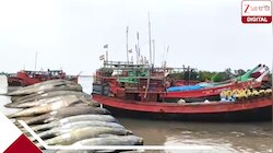 ইলিশের দেখা নেই, ৪০টি এই মাছ পড়তেই খুলে গেল মত্সজীবীদের কপাল 