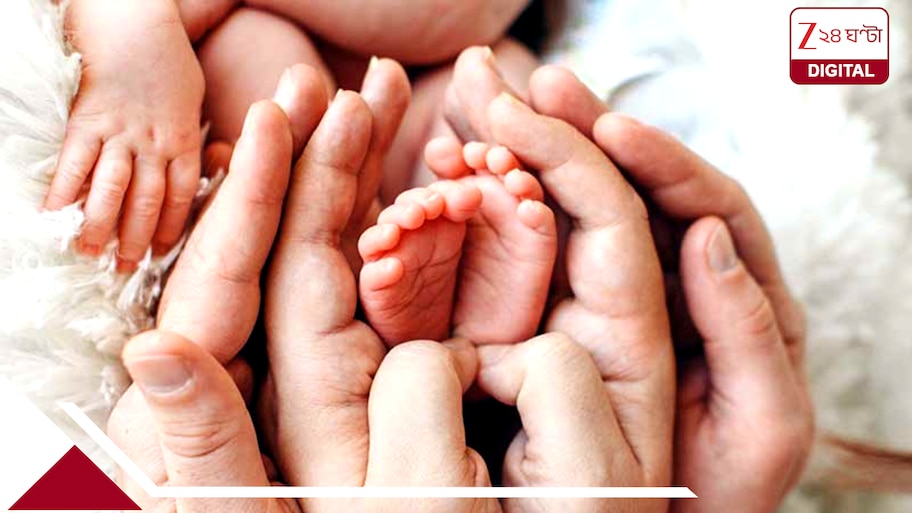 IVF পদ্ধতিতে সন্তানের জন্ম হলে পুরুষের কোনও ভূমিকাই নেই, বড়জোর নিজেকে বলতে পারেন, সাপোর্টিং পার্টনার: কলকাতা হাইকোর্ট
