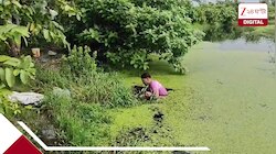 বারুইপুরে বিভীষিকা! গণধর্ষণের পর এবার ওই একই জায়গা থেকে মিলল পচাগলা দেহ