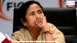 অ্যাকাউন্টে দুর্নীতির কোটি কোটি টাকা? প্লেন-হেলিকপ্টার কিনেছে তৃণমূল! 