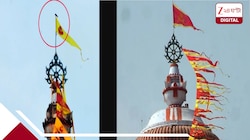 পুরী মন্দিরের পবিত্র পতাকায় বসল ঈগল, ছিঁড়ে নিল মুখে করে! সত্যিই কি কোনও অশুভ সংকেত?