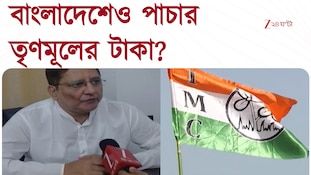 বাংলাদেশেও পাচার তৃণমূলের টাকা? পদ্মাপারে স্বাস্থ্য ক্ষেত্রে বিনিয়োগ অর্থ? 